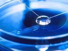 上海助孕公司官网电话-上海助孕机构-三代试管助孕怀孕机构