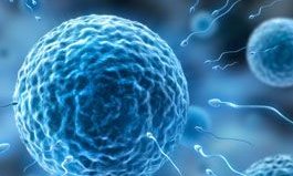 2026年没有卵泡去贵州省妇幼做三代试管可以吗？真实成功率公布