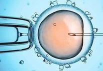 马来西亚做三代试管婴儿要多少钱？成功率高吗？